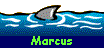  Marcus 